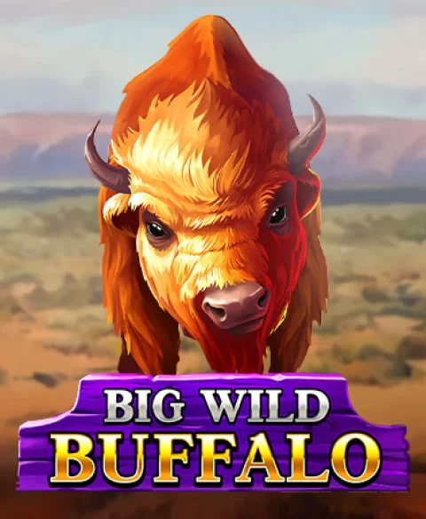 Play Big Wild Buffalo at Ricco Bet Casino